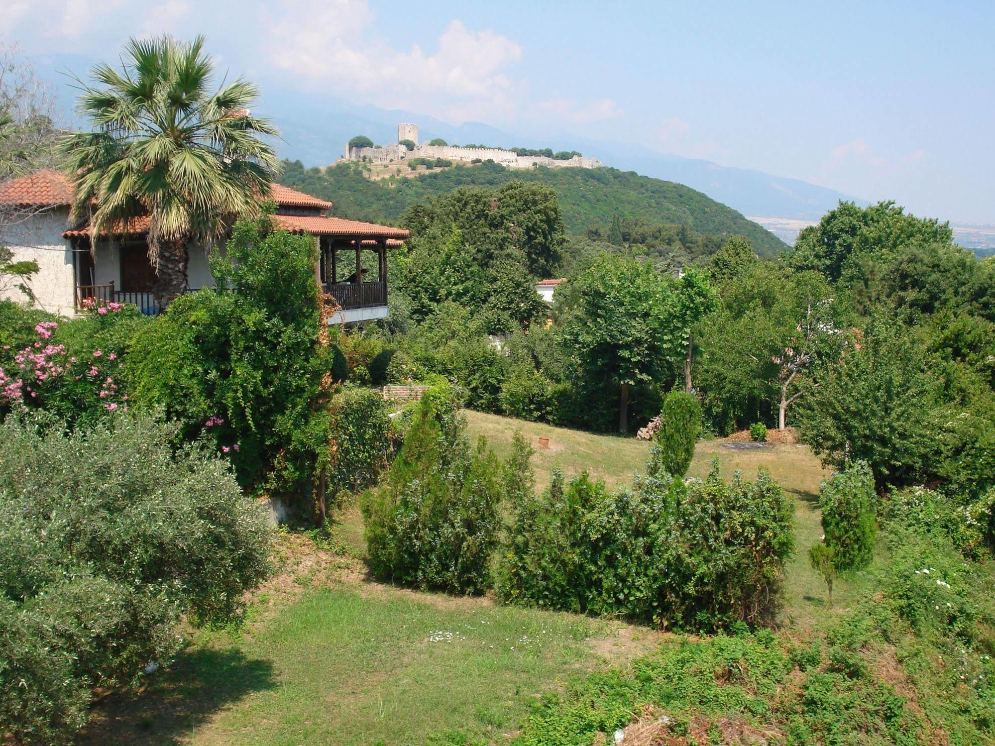 Hotel Alkyonis Platamon Exterior foto